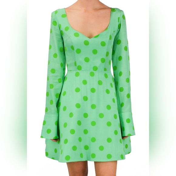 NWT Natasha Zinko Fit and Flare polka dot dress - Picture 1 of 4